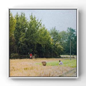 黑人囗交深唉吞精
